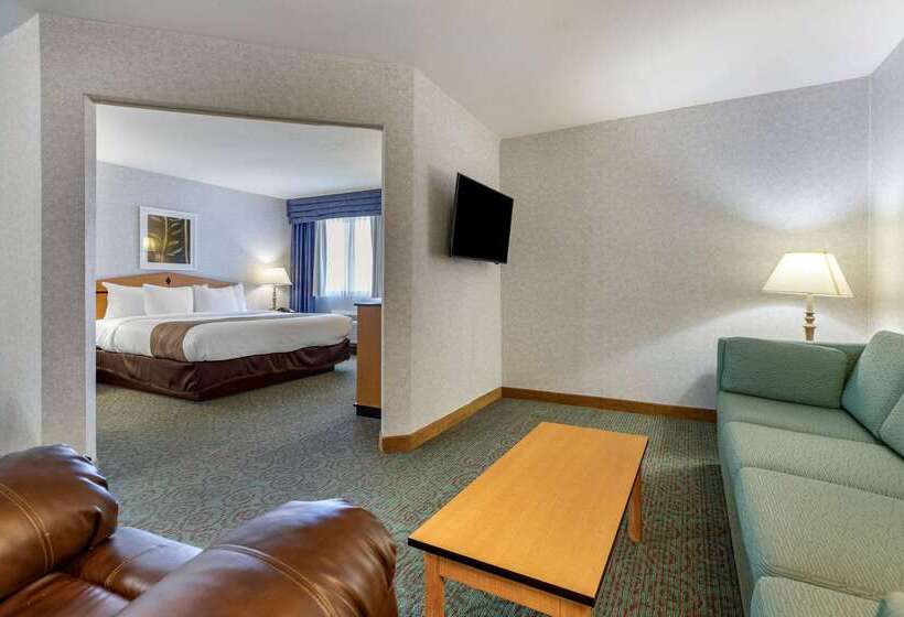 Отель Quality Inn & Suites Denver Airport   Gateway Park