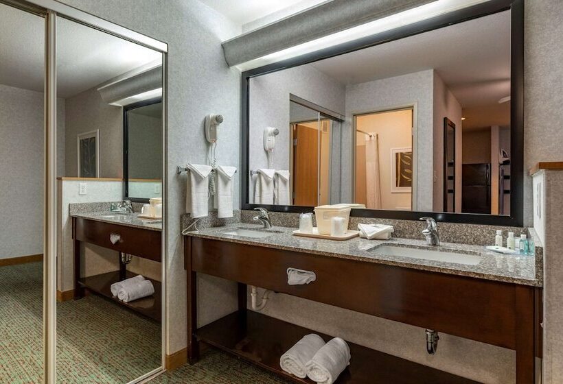 Отель Quality Inn & Suites Denver Airport   Gateway Park