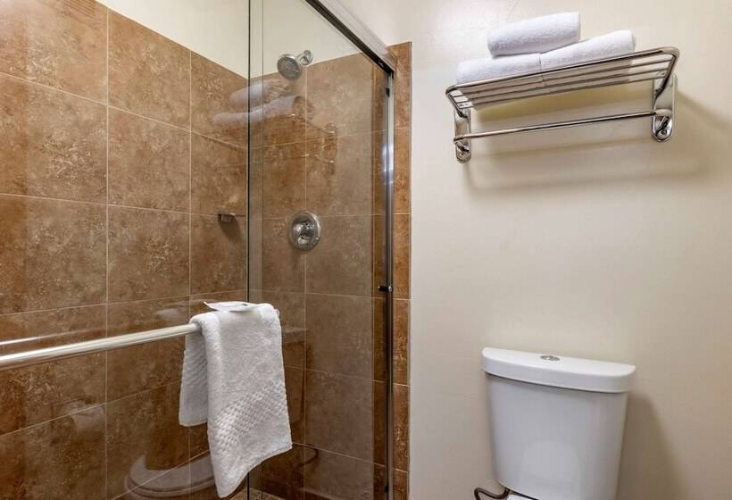 Отель Quality Inn & Suites Denver Airport   Gateway Park