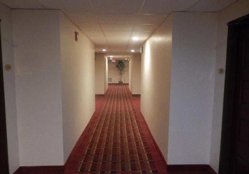 בית מלון כפרי Red Roof Inn Harrisonburg  University Area