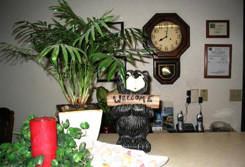 ホテル The Christmas Tree Inn