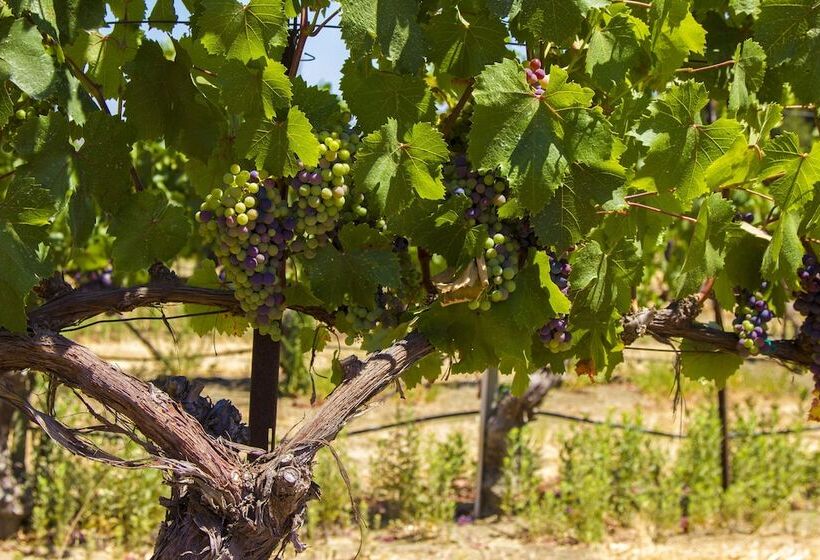 Vinland Hotel And Lounge