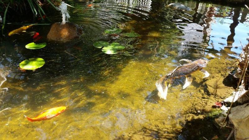 فندق Wine Valley Inn