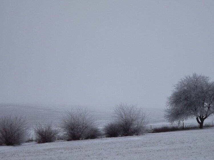 모텔 Crest Country Inn