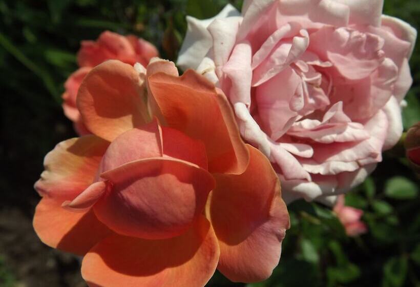 모텔 Crest Country Inn