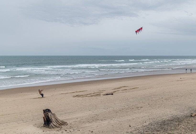 مُتل D Sands Rentals