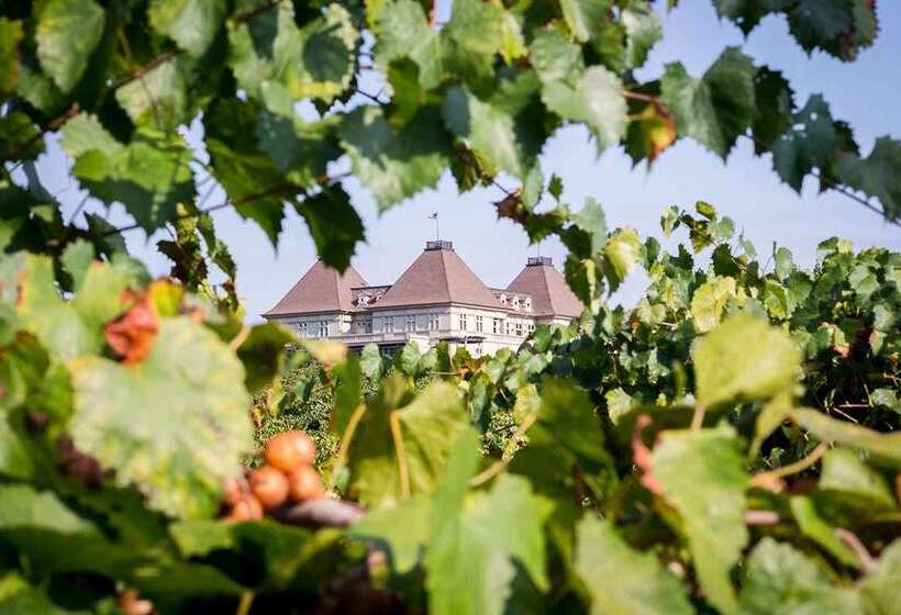 منتجع Chateau Elan