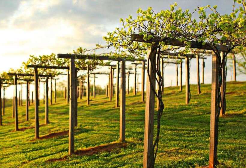 منتجع Chateau Elan