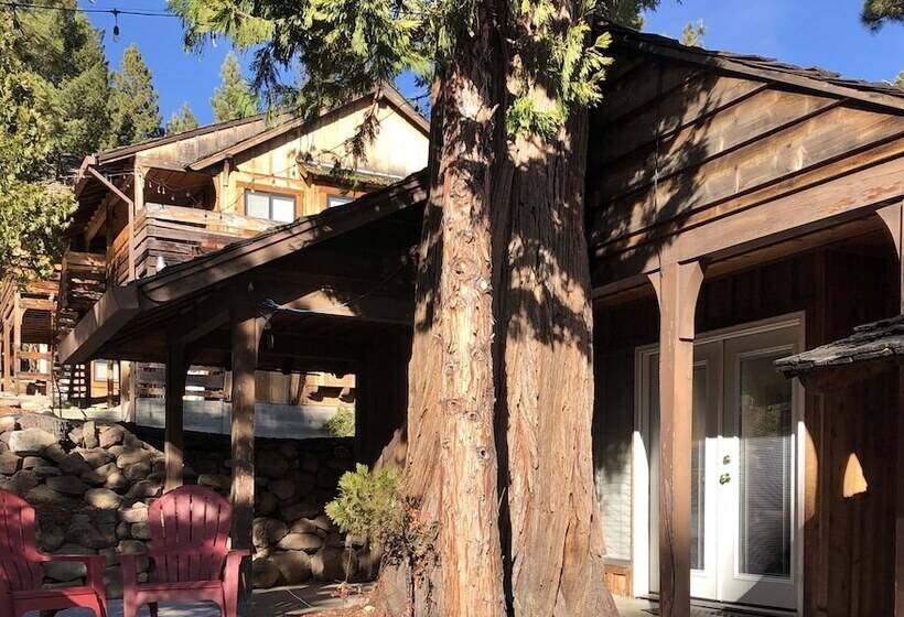 渡假胜地 Tahoe Vistana Inn