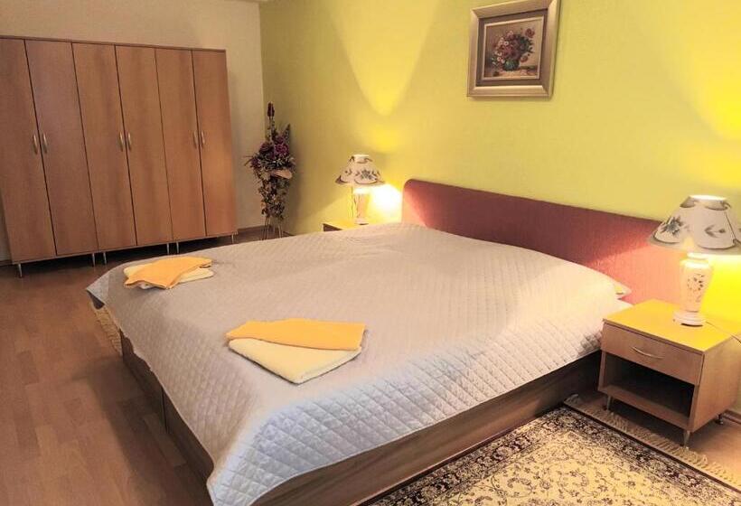 هاستل šd Němcovej 1