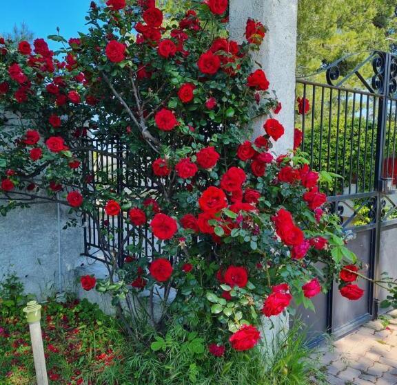 Bed and Breakfast Villa Tropical