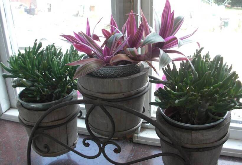 Hallandsåsen Hostel