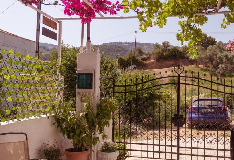 בית מלון כפרי Alexandra S House