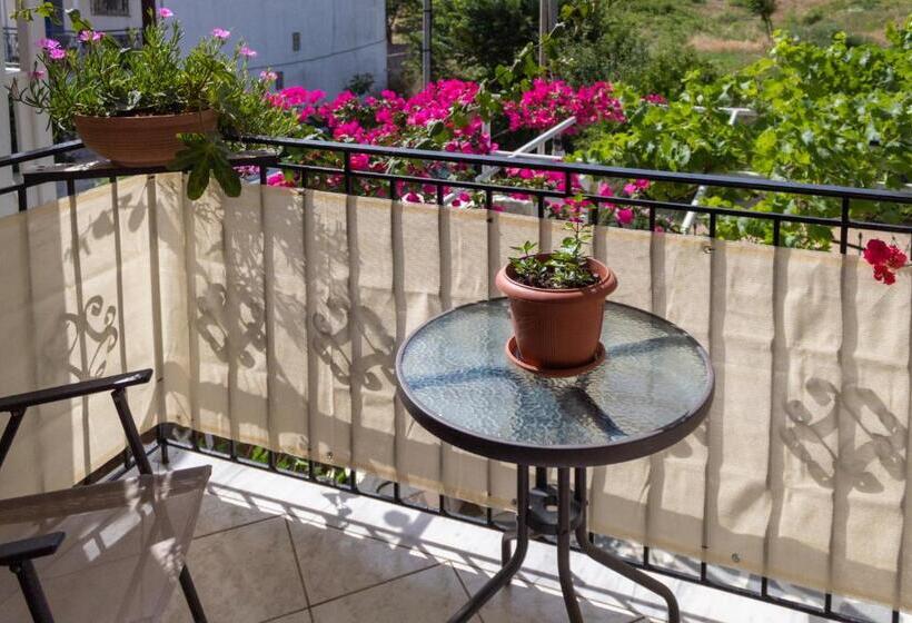 בית מלון כפרי Alexandra S House