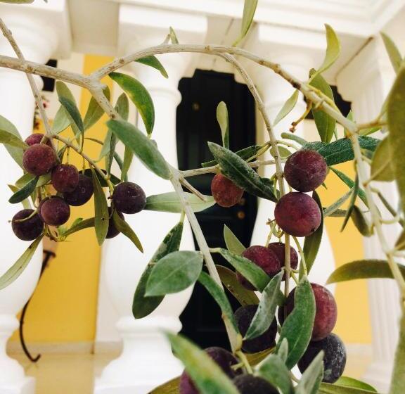 Отель Avra Sea View Paradise Pool Apartments