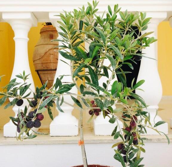 Отель Avra Sea View Paradise Pool Apartments