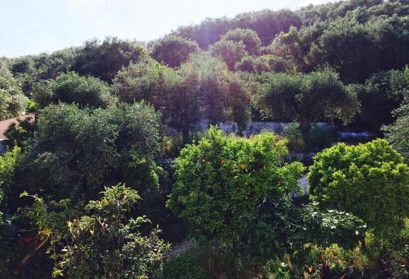 Отель Avra Sea View Paradise Pool Apartments