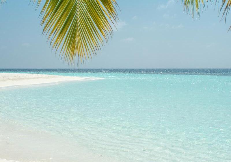 هتل Grand Cosmopolitan