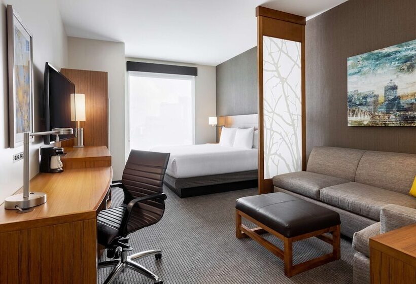 فندق Hyatt Place Atlanta Centennial Park