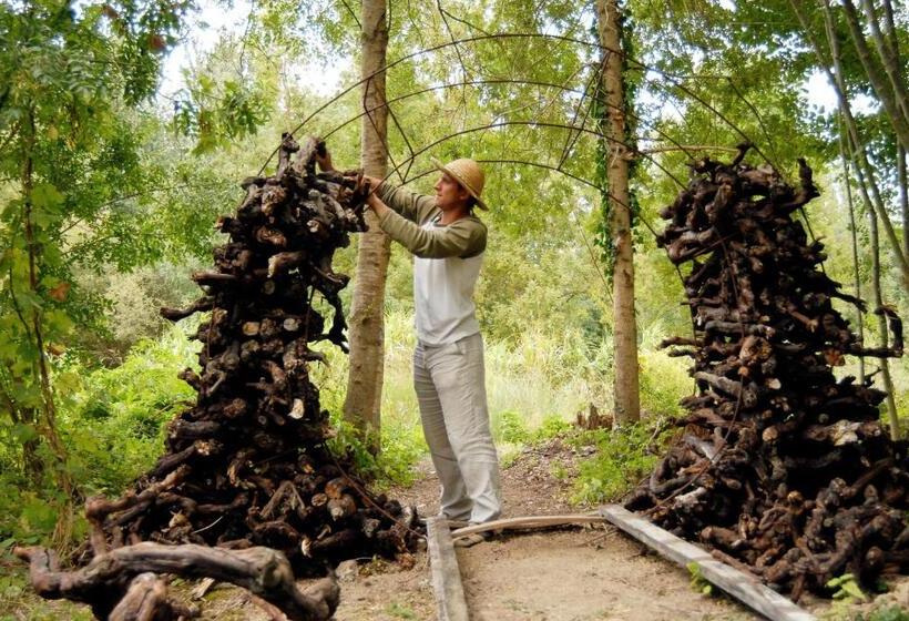 酒店 Hôtel L Yeuse   Teritoria