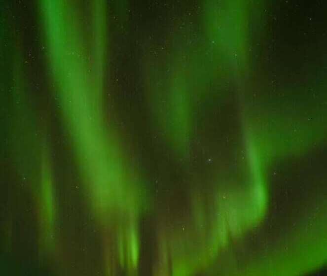 호텔 Raven Inn Whitehorse