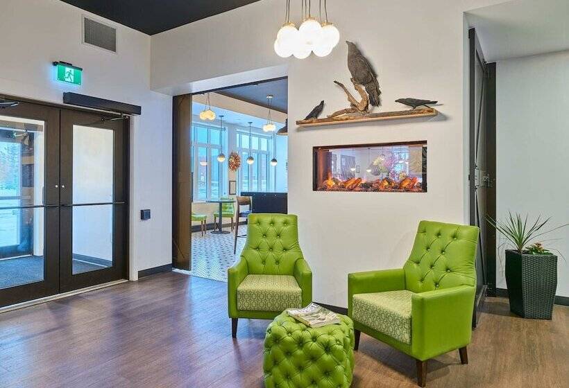 호텔 Raven Inn Whitehorse