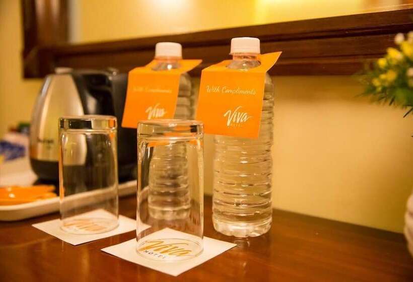 בית מלון כפרי Viva