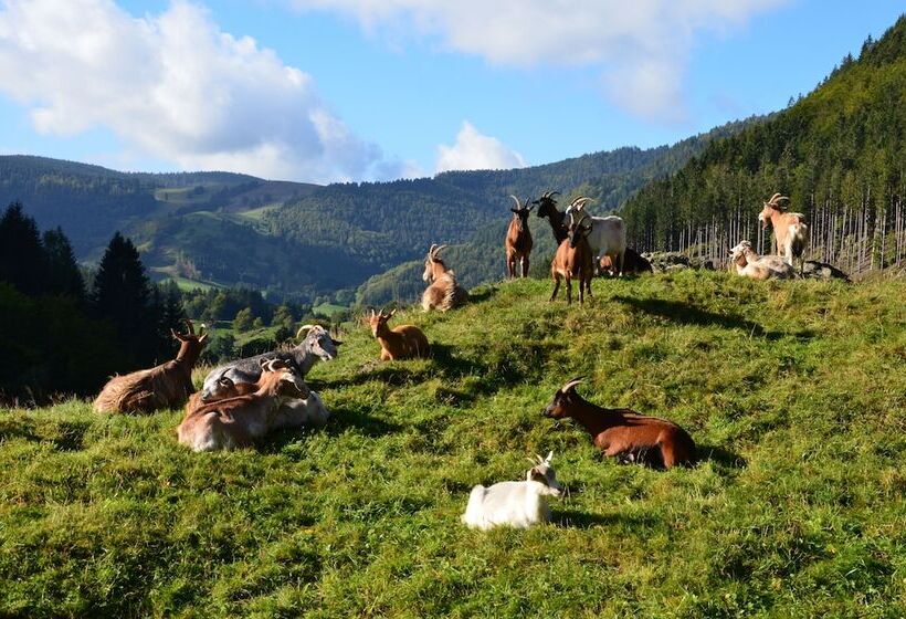 Landgasthof Hotel Bergblick