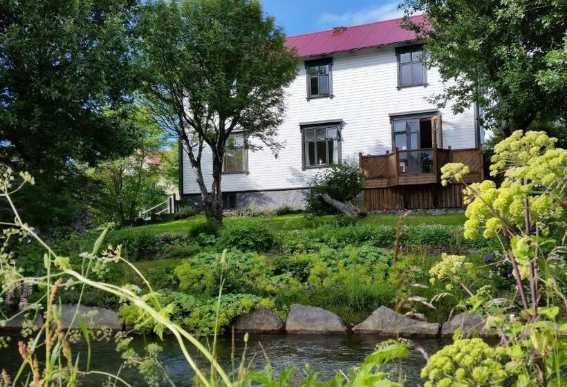 پانسیون Arbol Guesthouse