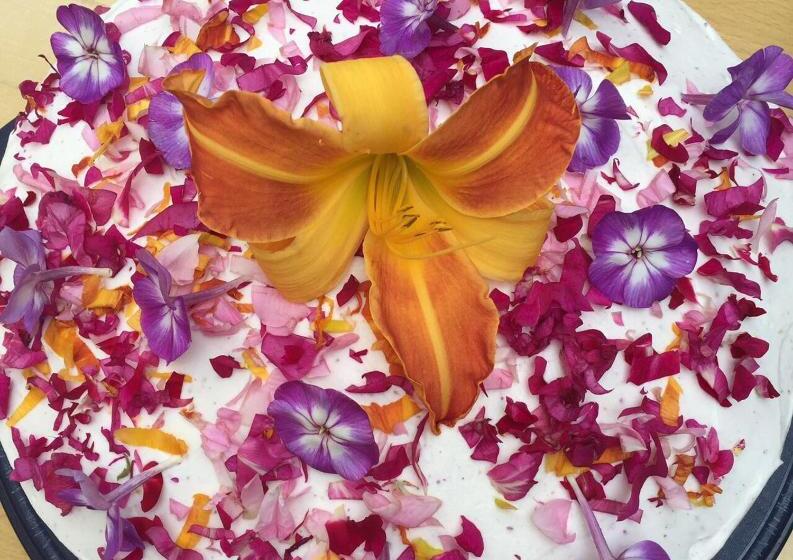 Пансион Blütenhotel Village