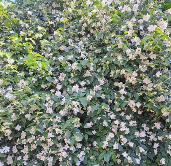 بنسيون ágnes Pihenőház