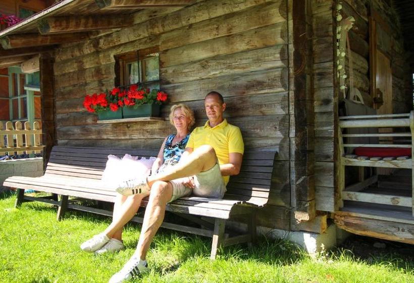 بنسيون Gästehaus Hochkönig