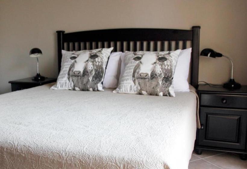 פנסיון Rip Van Winkel Guest House