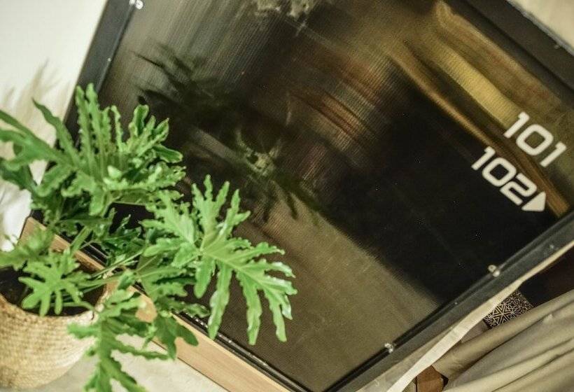 199x Cong Quynh   Hostel