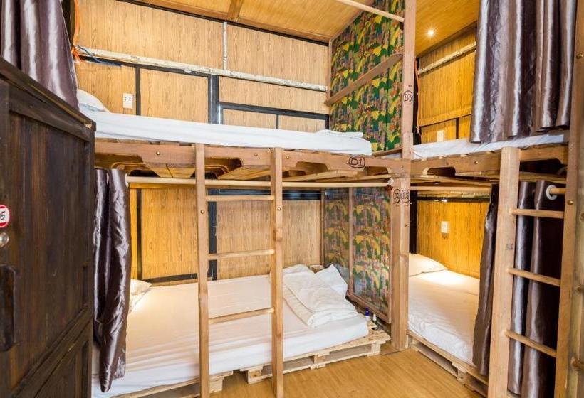 هاستل Ace Home Viet Nam