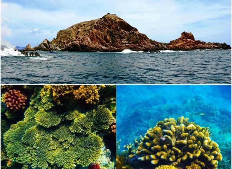 هاستل An Lạc Homestay