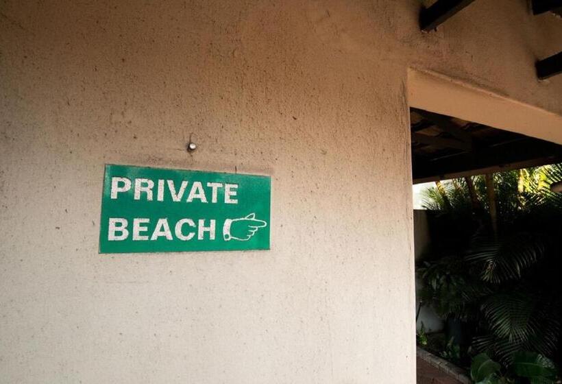 膳宿费 Wild Rocks