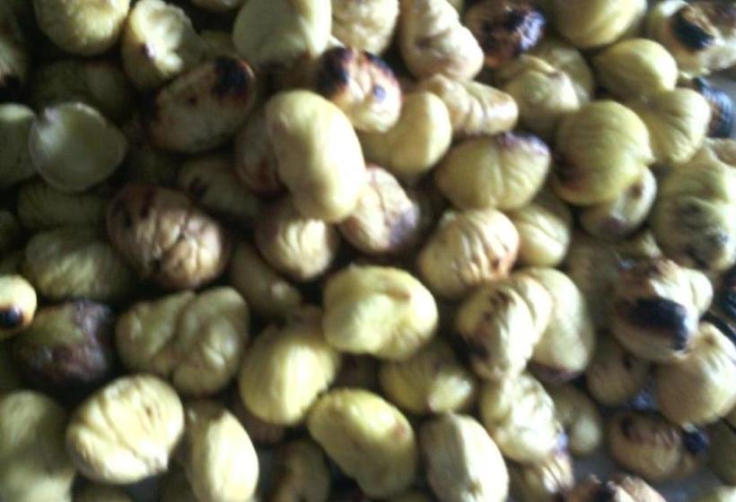 ホテル Fattoria Il Pigelleto