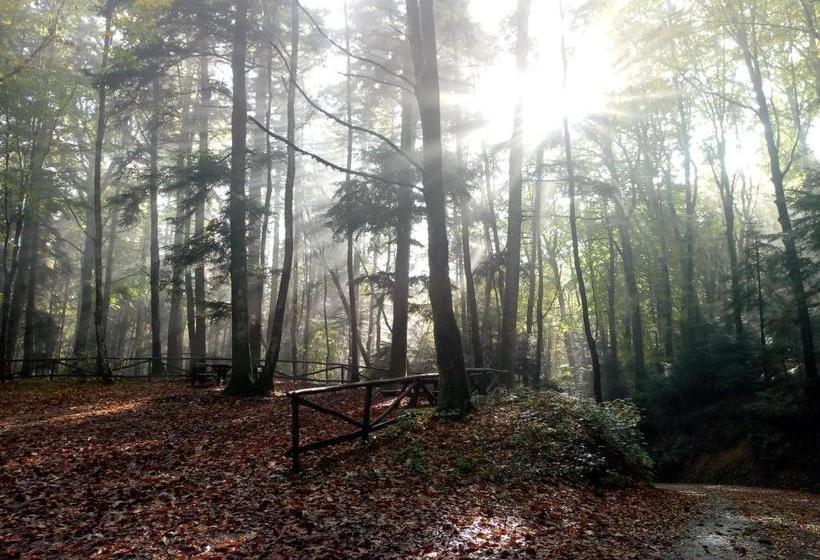 ホテル Fattoria Il Pigelleto