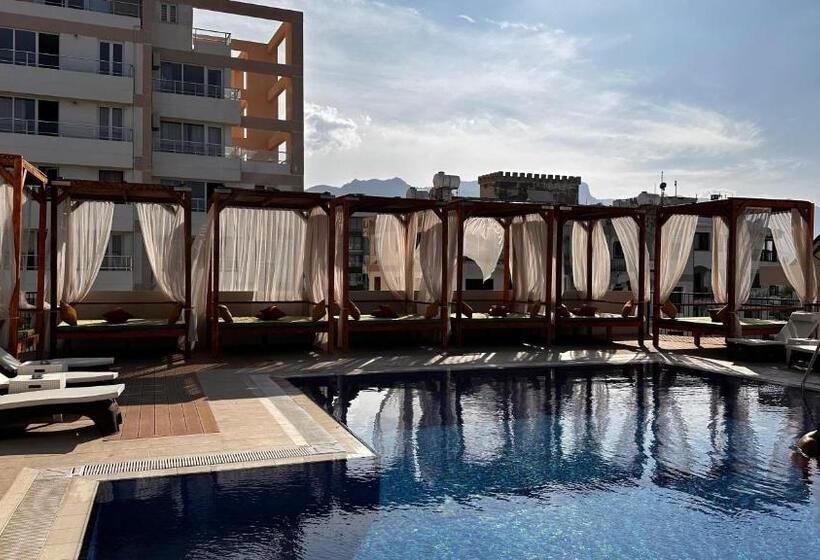 فندق Olivia Palm