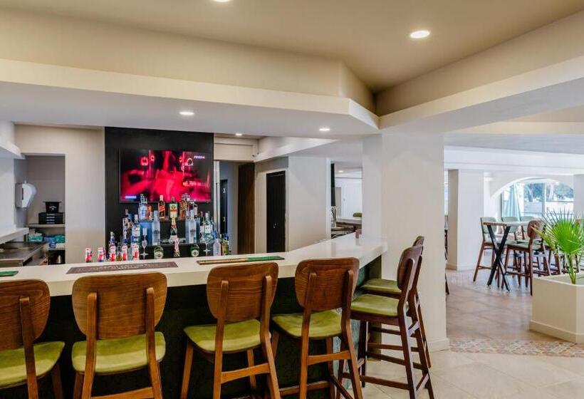 فندق Olivia Palm