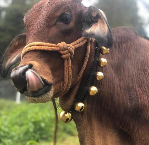 酒店 Penrhyn Estd 1929