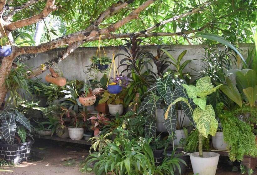 פנסיון Royal Views Residence