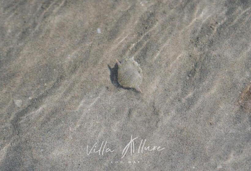 Курорт Villa Allure Koh Mak