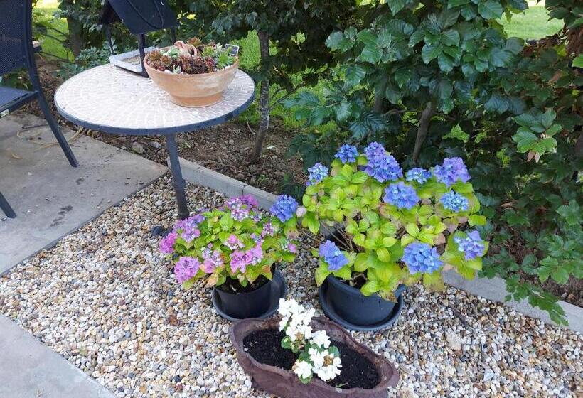 B&b La Vita Verde