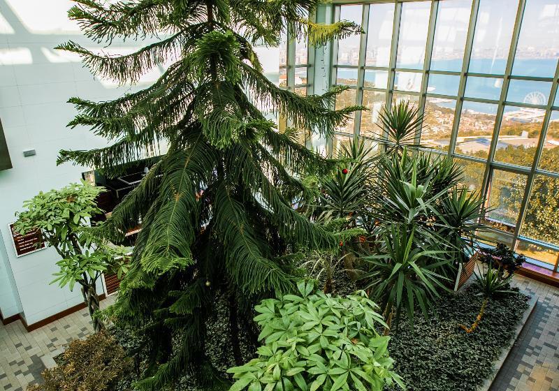 هتل Badam D Art Boutique