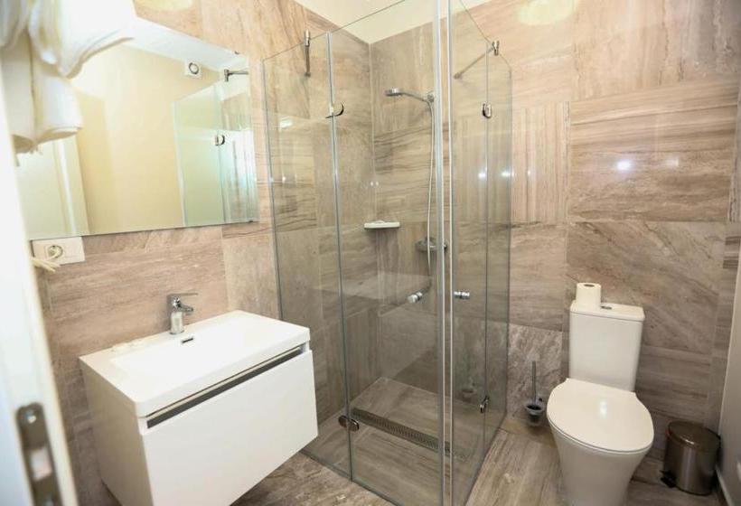 Отель Casa Budisteanu 2