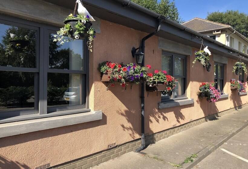 Отель Michelangelos   Rooms, Restaurant & Bar