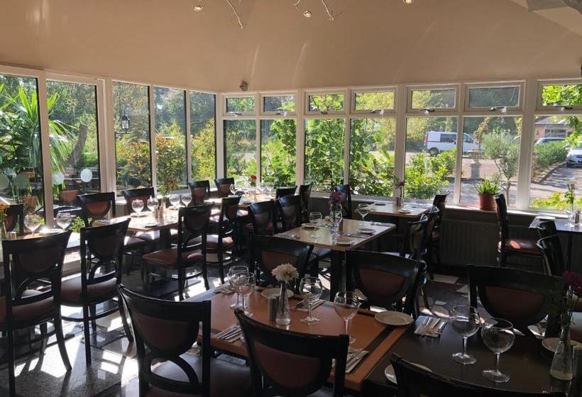 Отель Michelangelos   Rooms, Restaurant & Bar