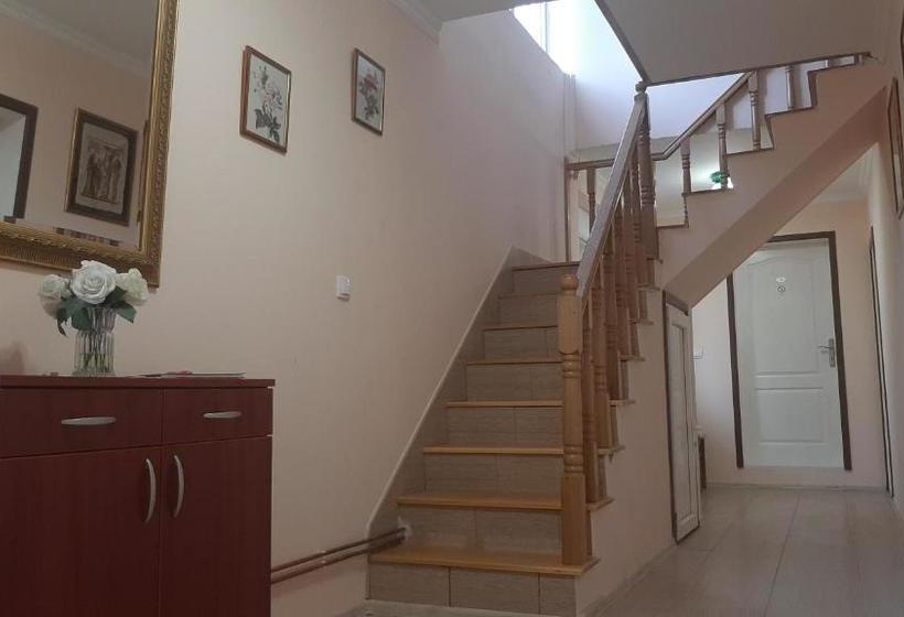 پانسیون Aleksandar Vila Br